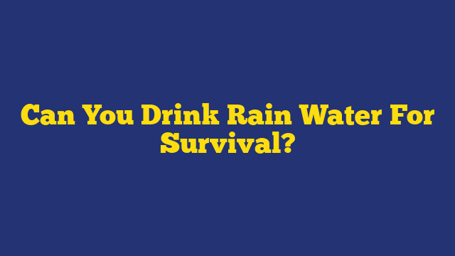 Can You Drink Rain Water For Survival?