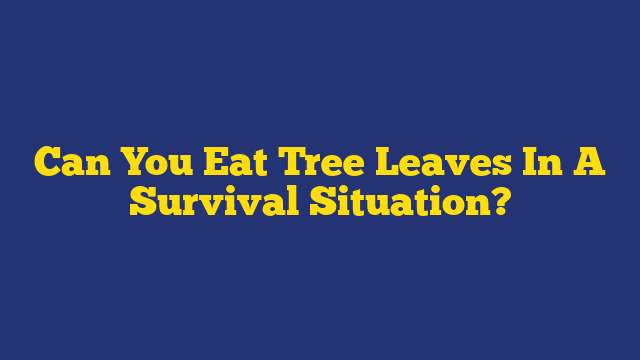 Can You Eat Tree Leaves In A Survival Situation?