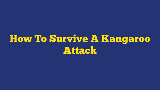 How To Survive A Kangaroo Attack