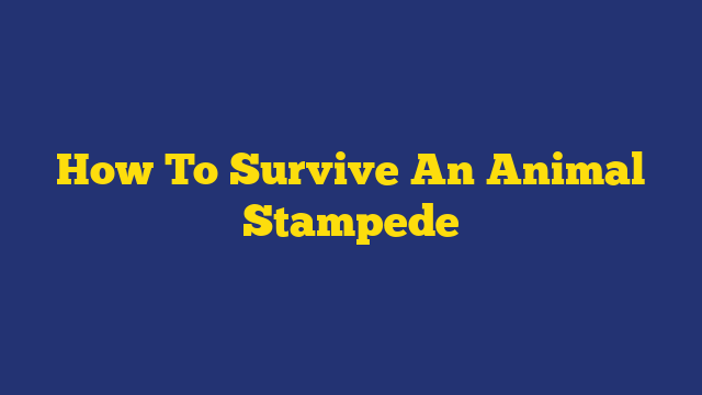 How To Survive An Animal Stampede