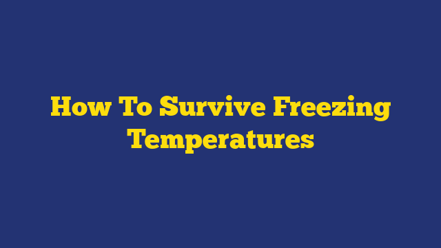 How To Survive Freezing Temperatures
